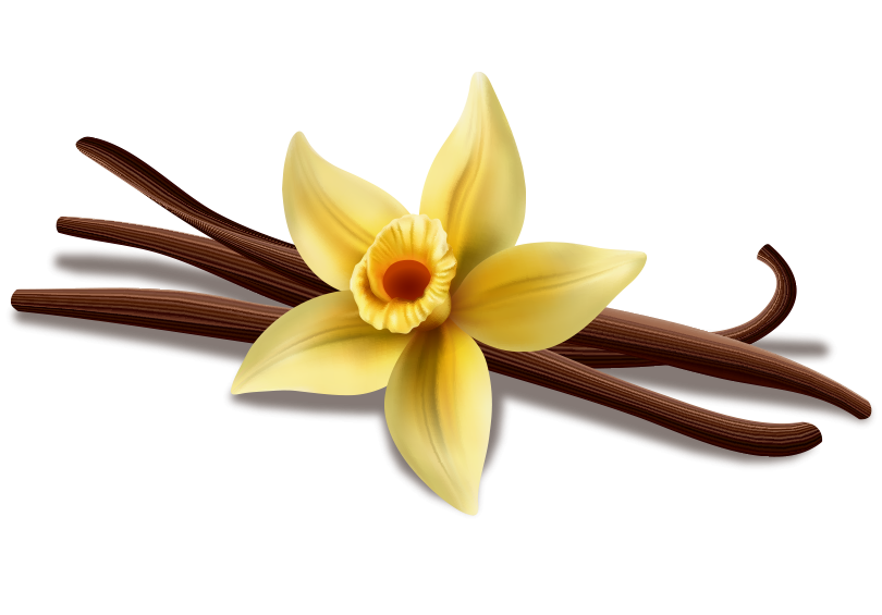 Vanilla Restaurant - Bischheim - restaurant Africain BISCHHEIM