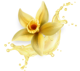 Le Restaurant - Vanilla Restaurant - Bischheim